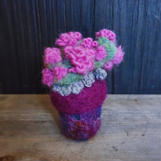 Handmade Wool Flowering Prickly Pear Cactus, No Thorns