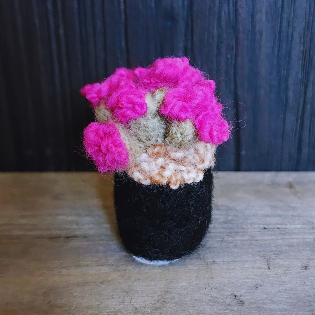Handmade Wool Flowering Prickly Pear Cactus, No Thorns