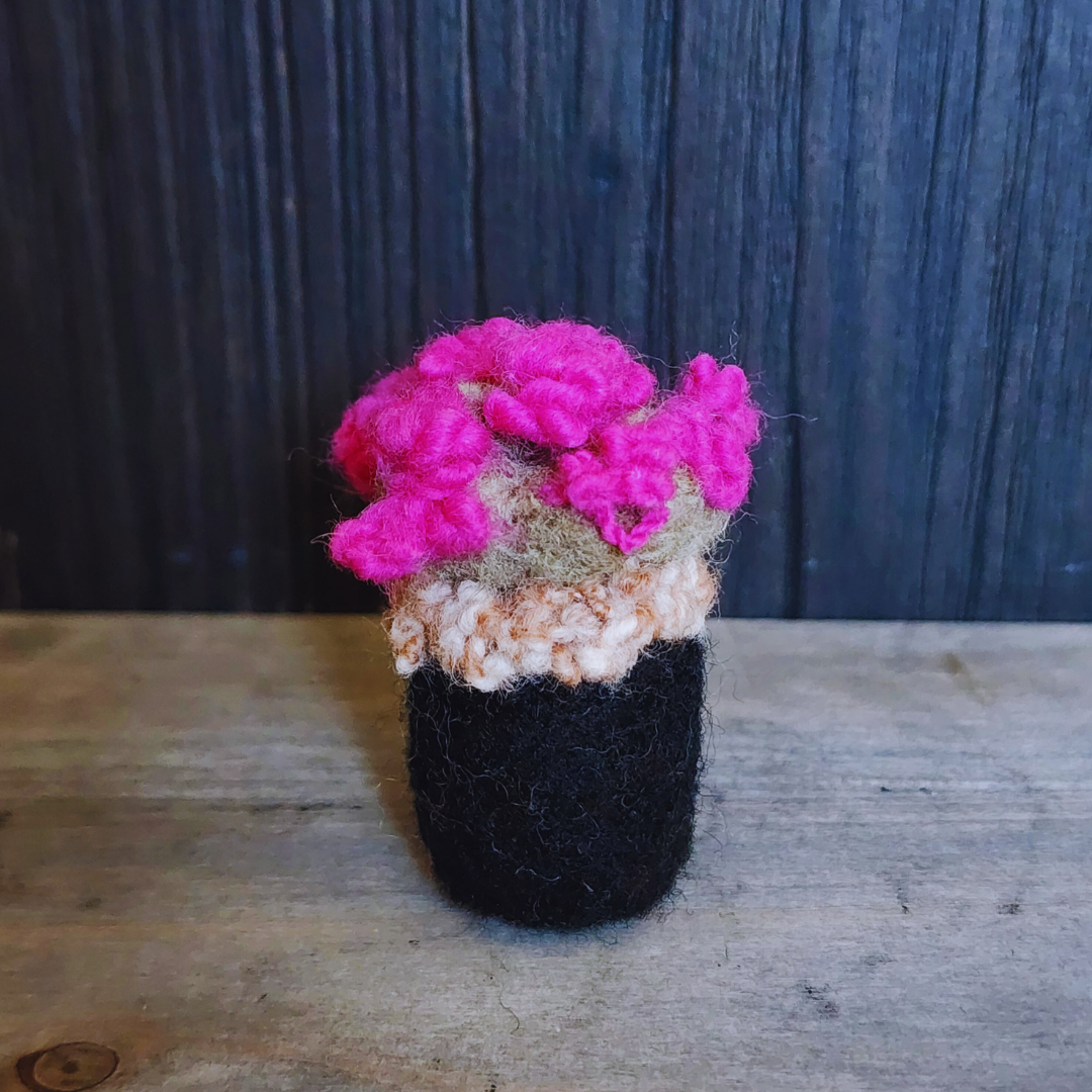 Handmade Wool Flowering Prickly Pear Cactus, No Thorns