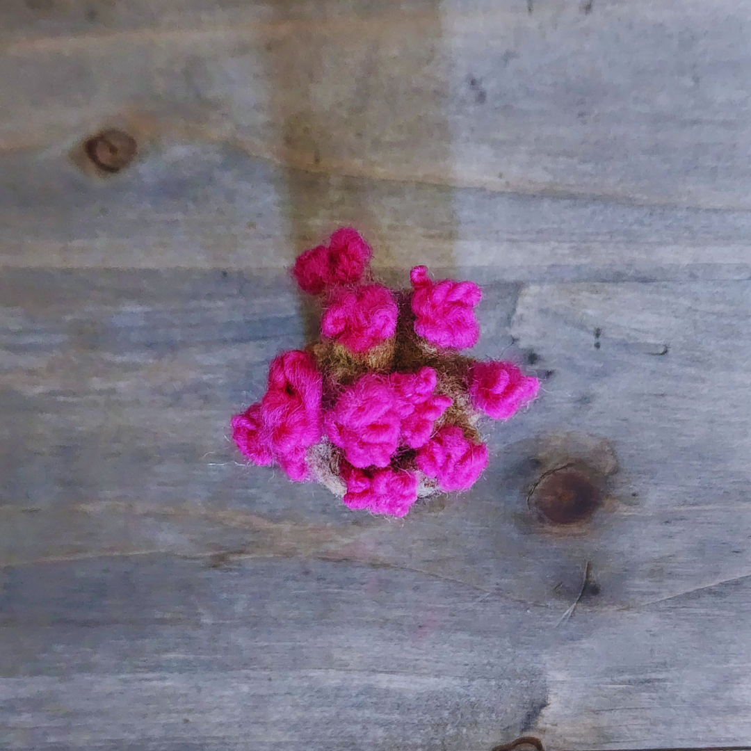 Handmade Wool Flowering Prickly Pear Cactus, No Thorns