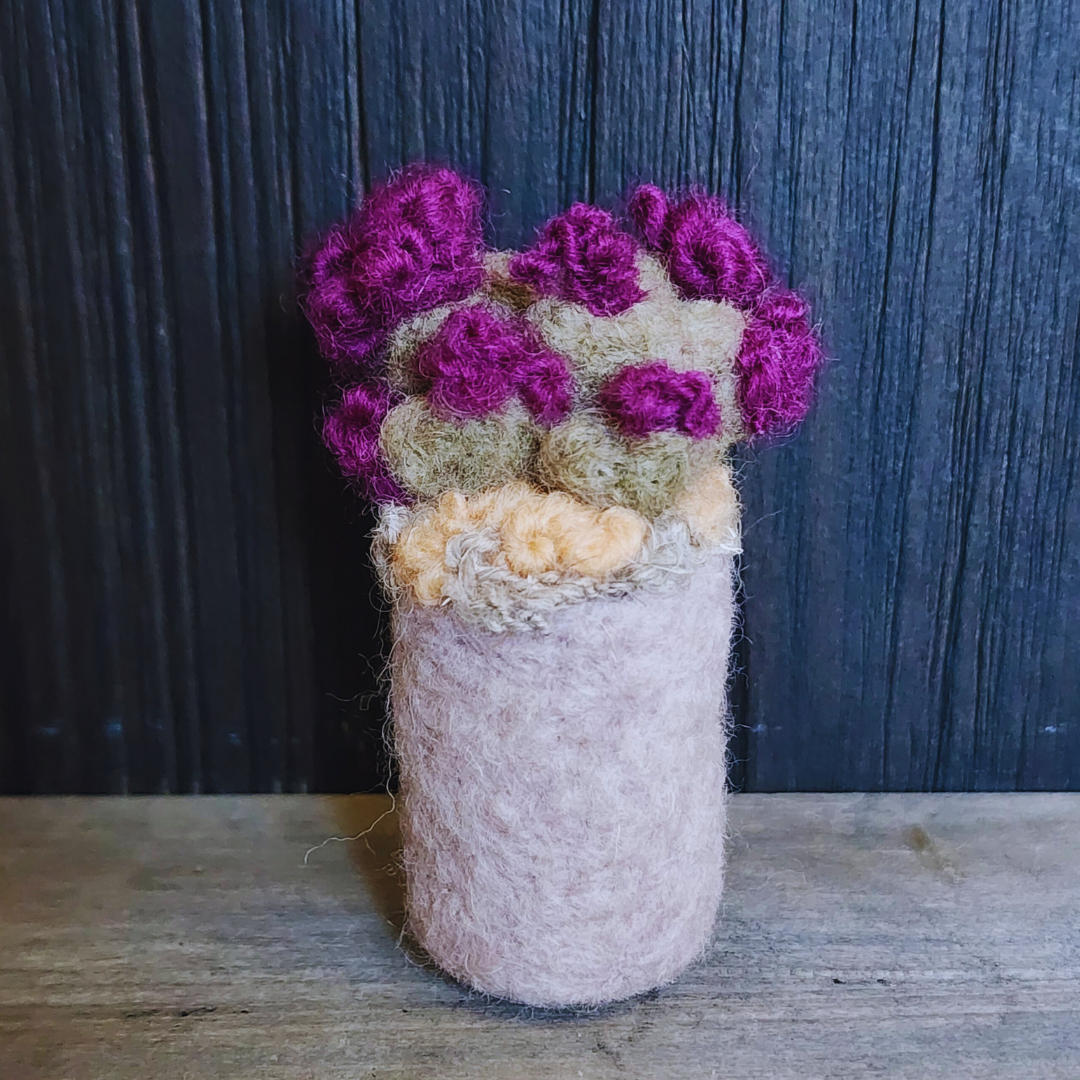 Handmade Wool Flowering Prickly Pear Cactus, No Thorns