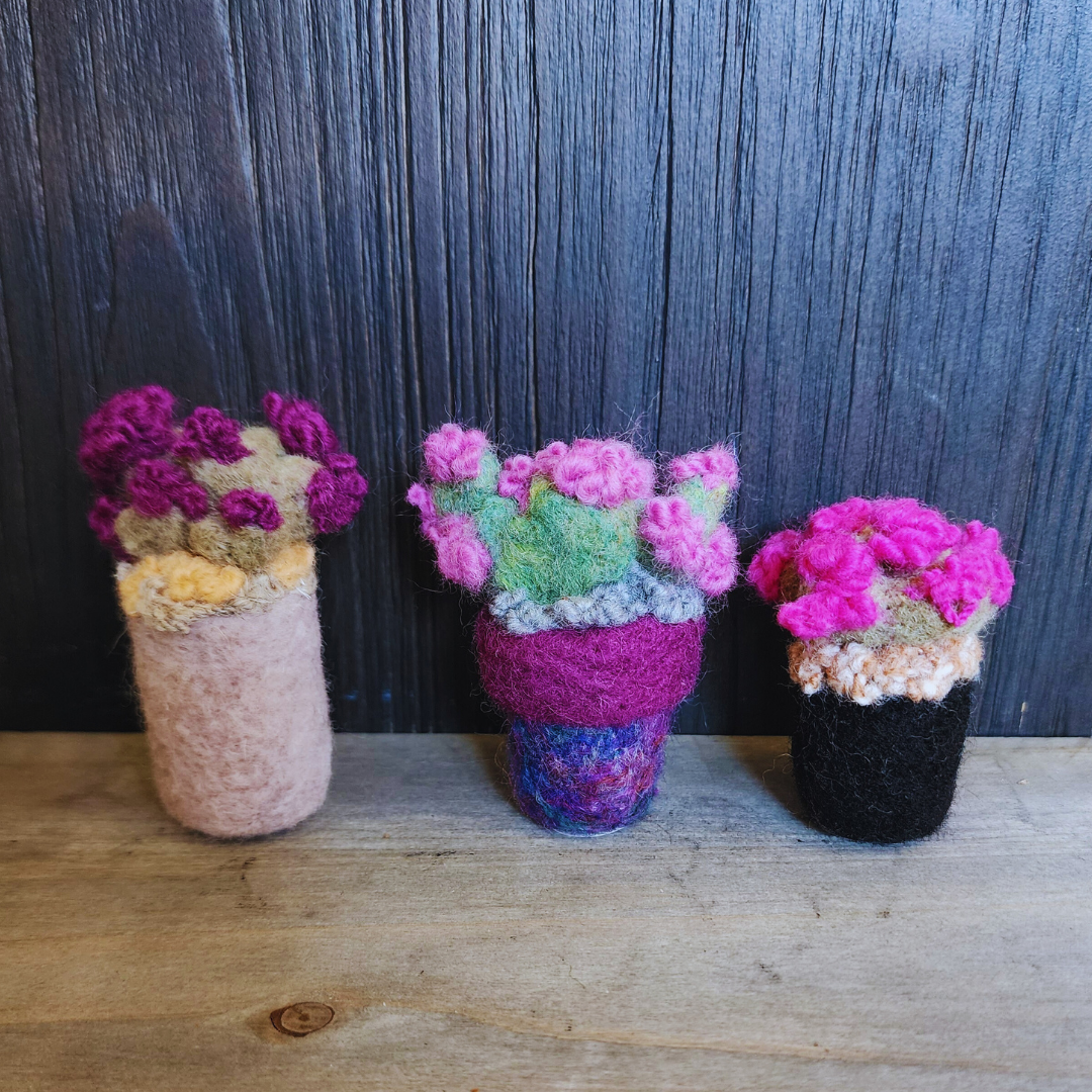 Handmade Wool Flowering Prickly Pear Cactus, No Thorns