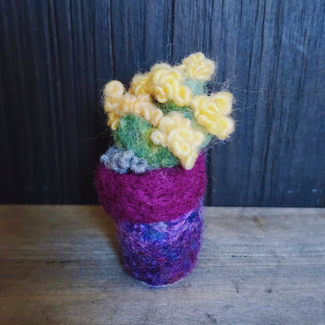 Handmade Wool Flowering Prickly Pear Cactus, No Thorns