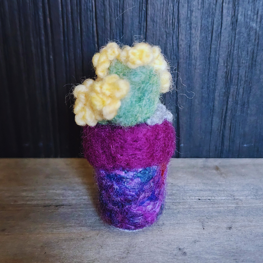 Handmade Wool Flowering Prickly Pear Cactus, No Thorns