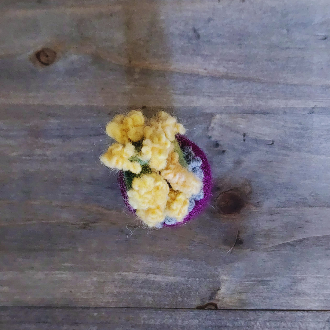 Handmade Wool Flowering Prickly Pear Cactus, No Thorns