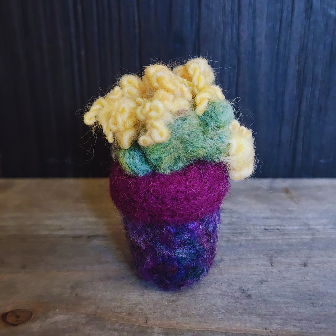 Handmade Wool Flowering Prickly Pear Cactus, No Thorns