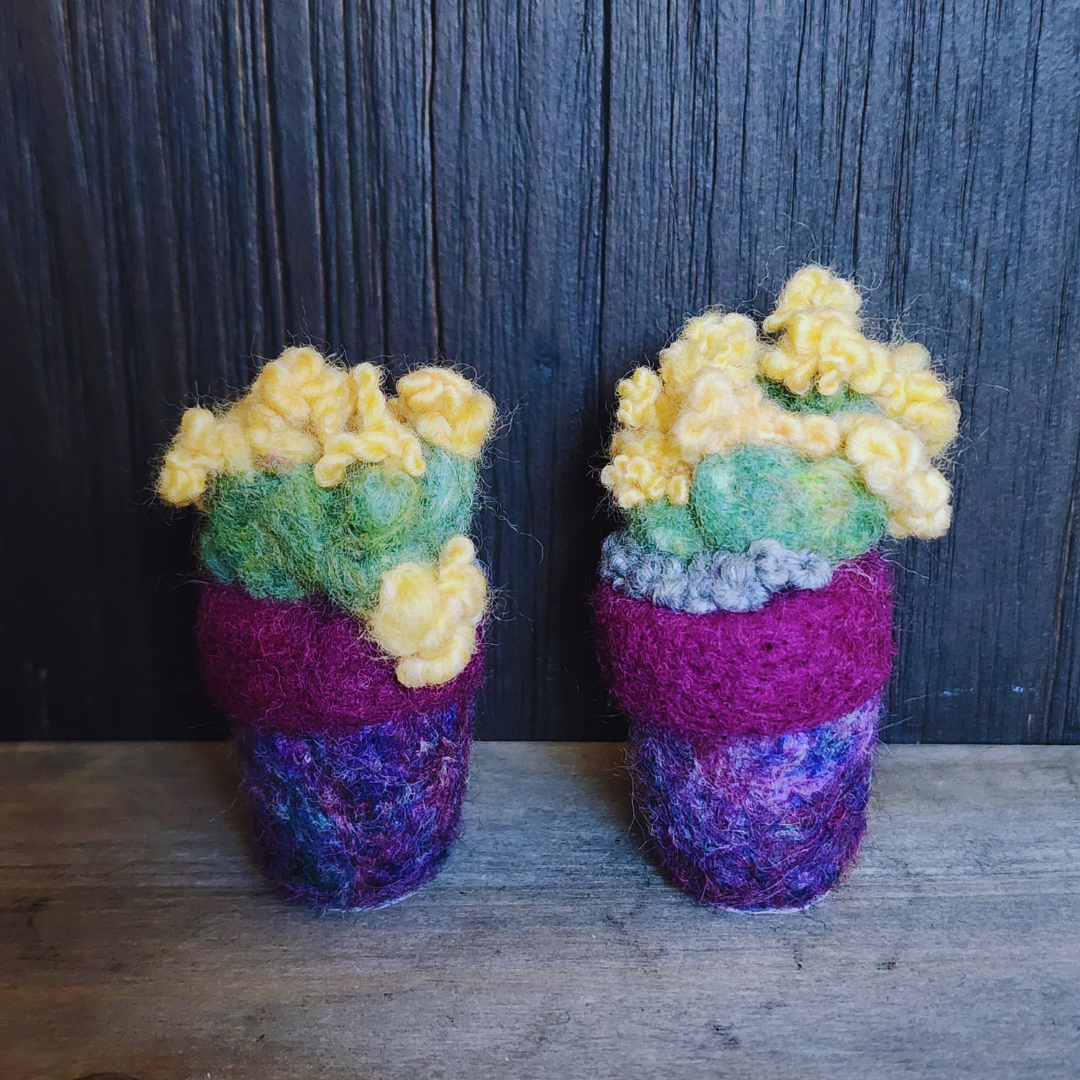 Handmade Wool Flowering Prickly Pear Cactus, No Thorns