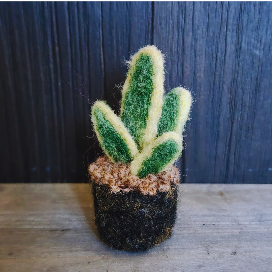Handmade Wool Felted Mini Snake Plant, No Water
