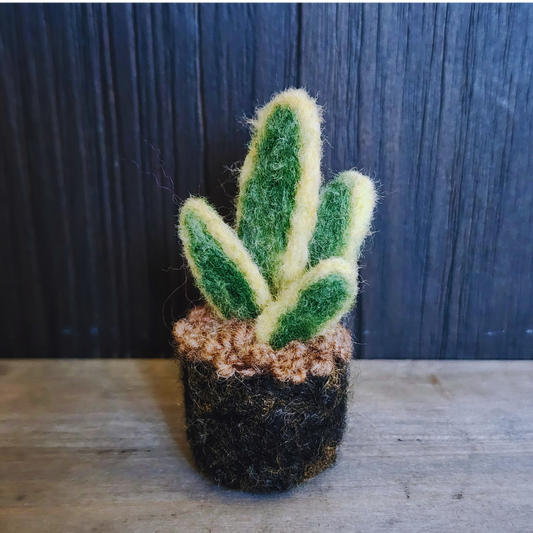 Handmade Wool Felted Mini Snake Plant, No Water
