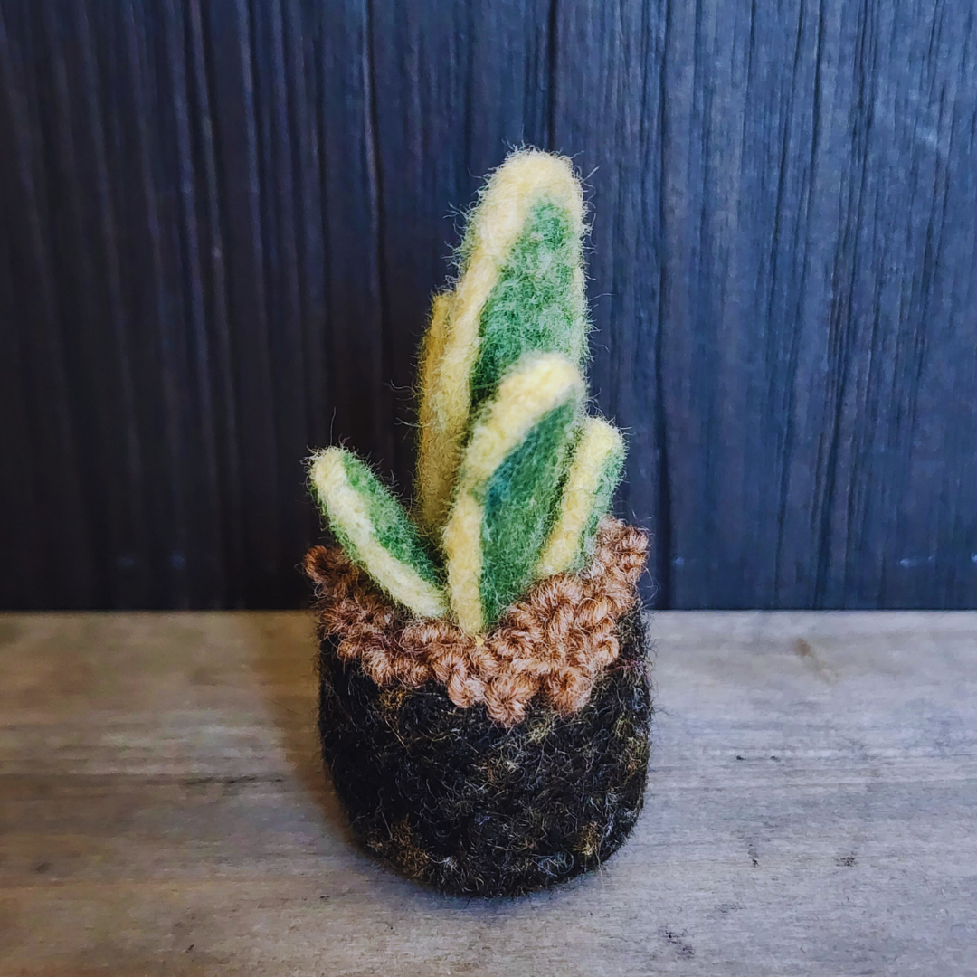 Handmade Wool Felted Mini Snake Plant, No Water