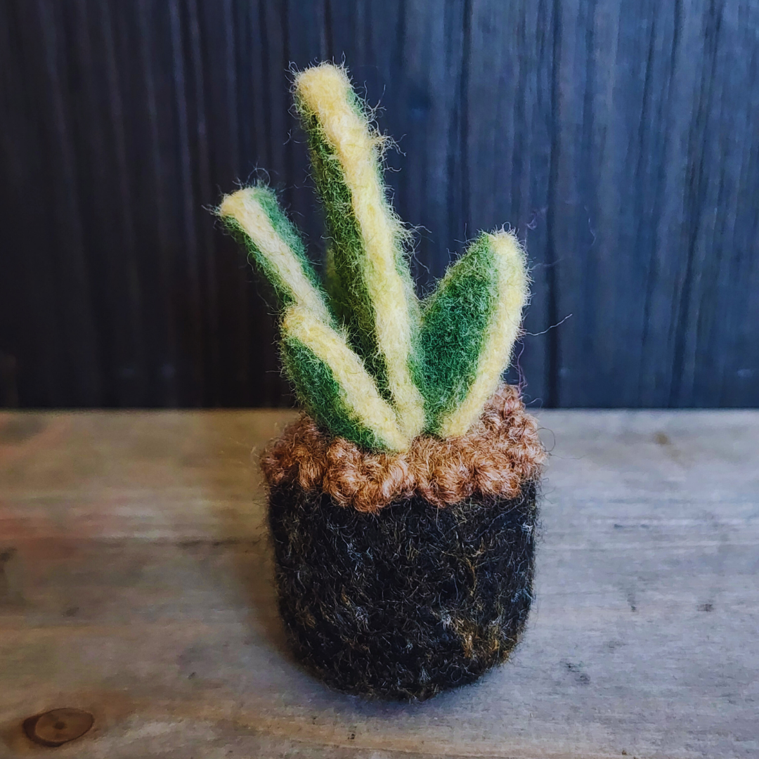 Handmade Wool Felted Mini Snake Plant, No Water