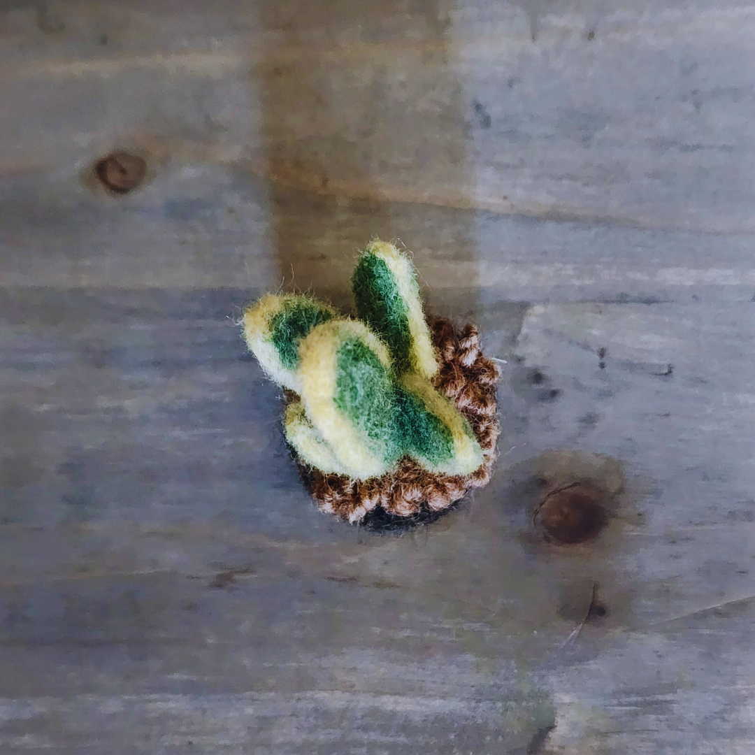 Handmade Wool Felted Mini Snake Plant, No Water