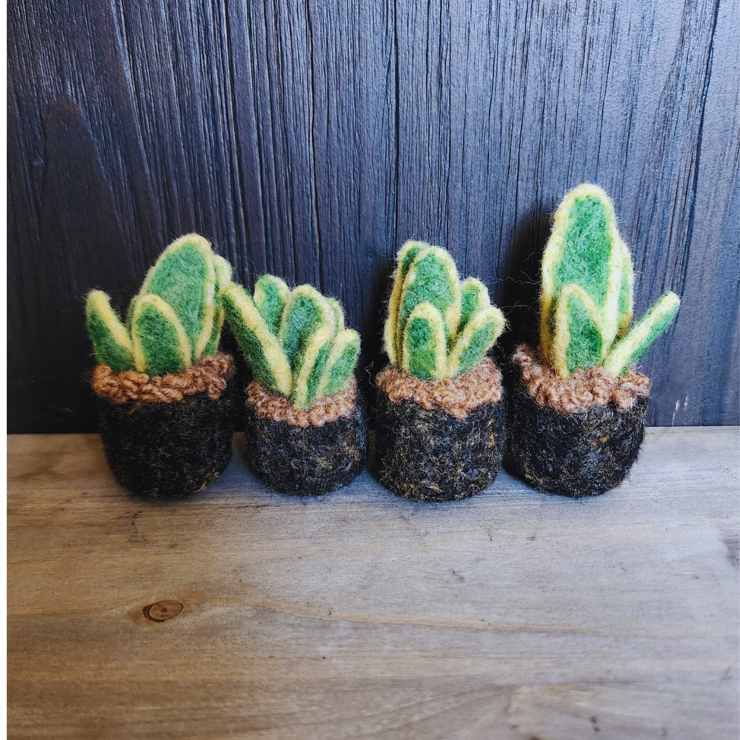 Handmade Wool Felted Mini Snake Plant, No Water