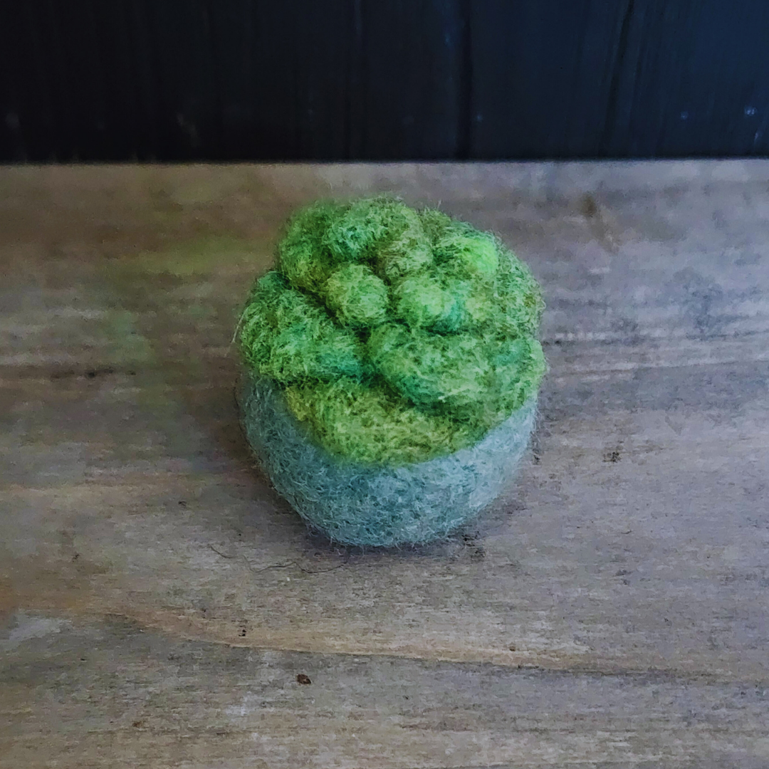 Handmade Wool Felted Mini Succulent, No Water