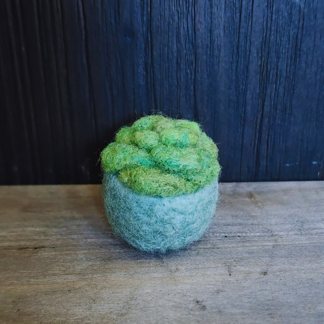 Handmade Wool Felted Mini Succulent, No Water