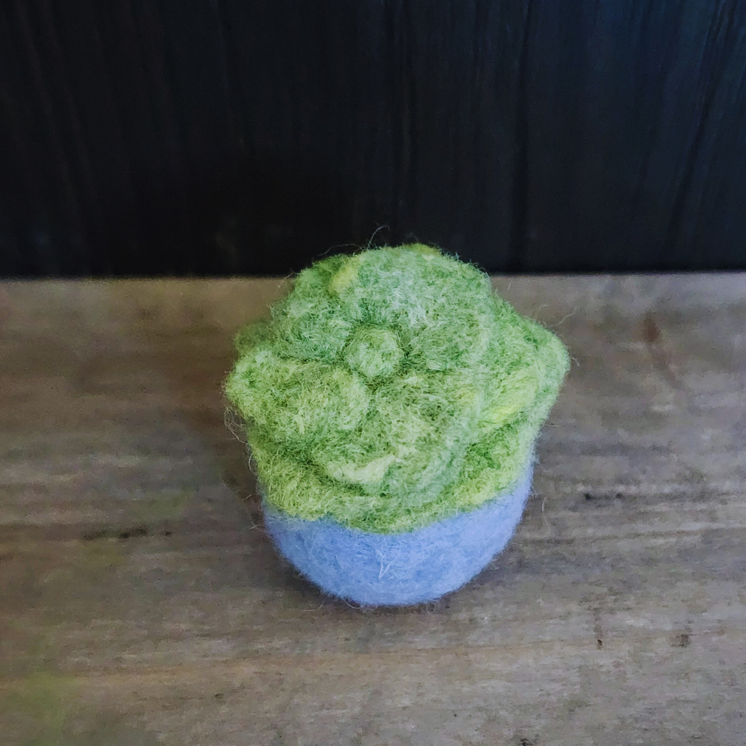 Handmade Wool Felted Mini Succulent, No Water