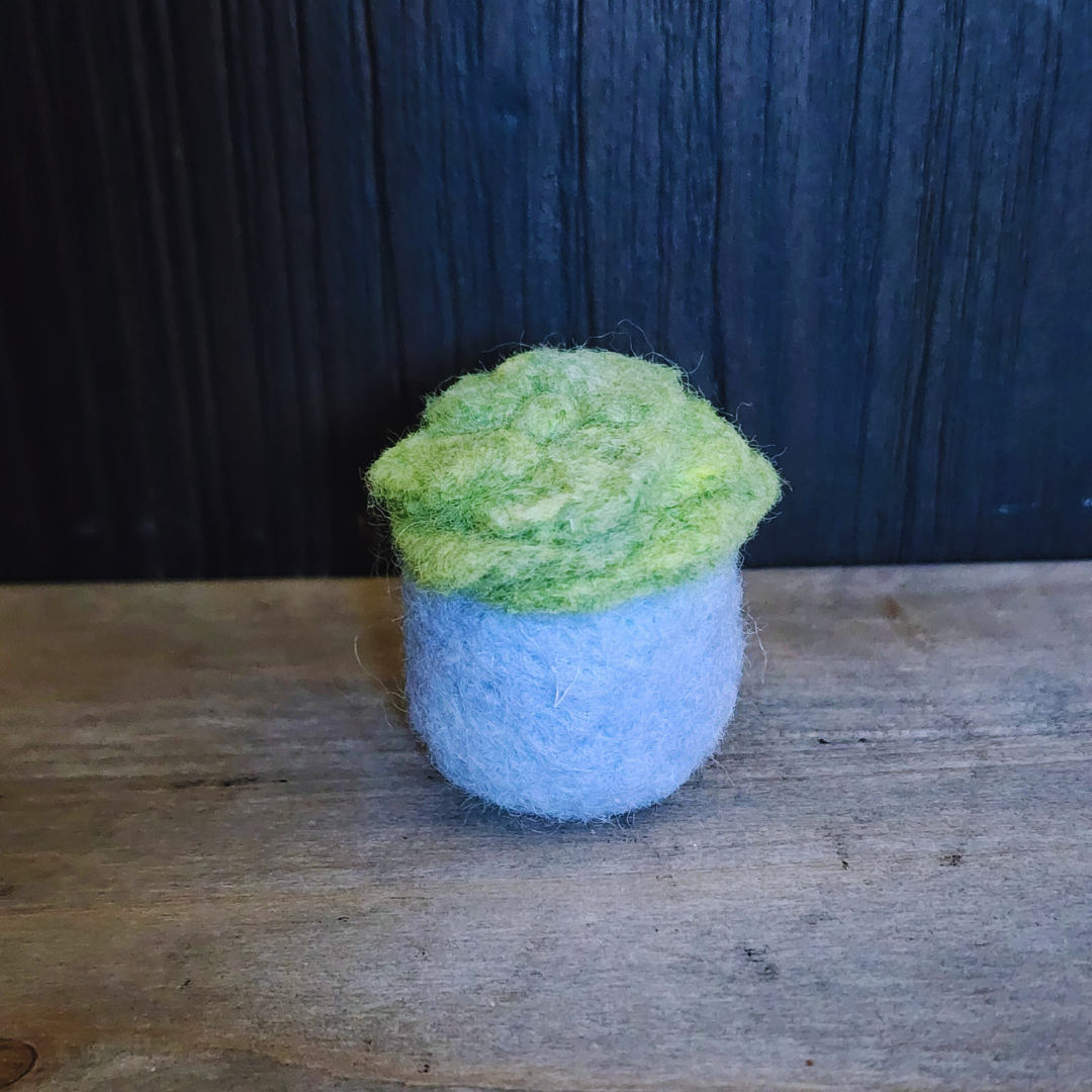 Handmade Wool Felted Mini Succulent, No Water