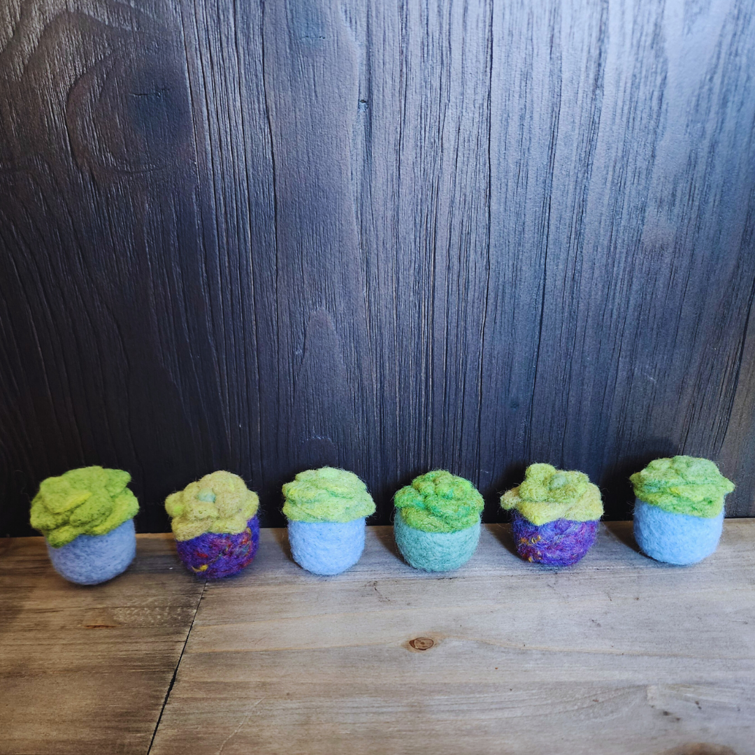 Handmade Wool Felted Mini Succulent, No Water