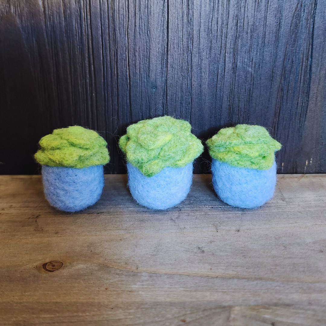 Handmade Wool Felted Mini Succulent, No Water