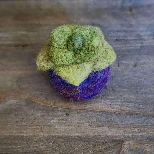 Handmade Wool Felted Mini Succulent, No Water