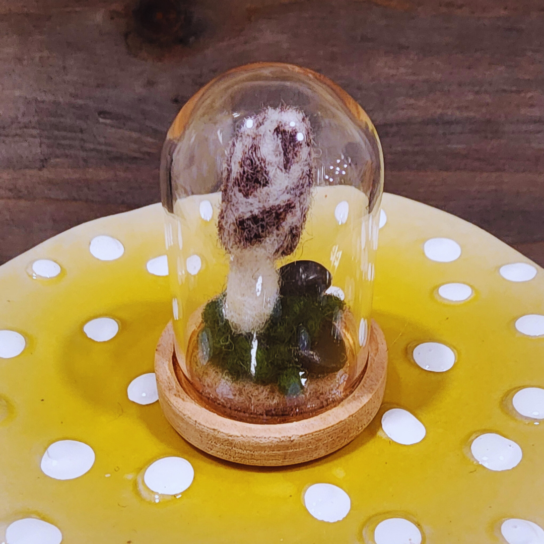 A handmade needle-felted Morel mushroom terrarium in a glass dome, sitting on a light wood base.