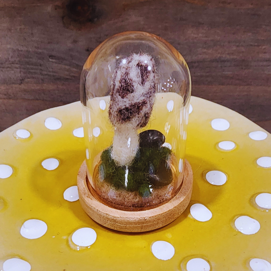A handmade needle-felted Morel mushroom terrarium in a glass dome, sitting on a light wood base.