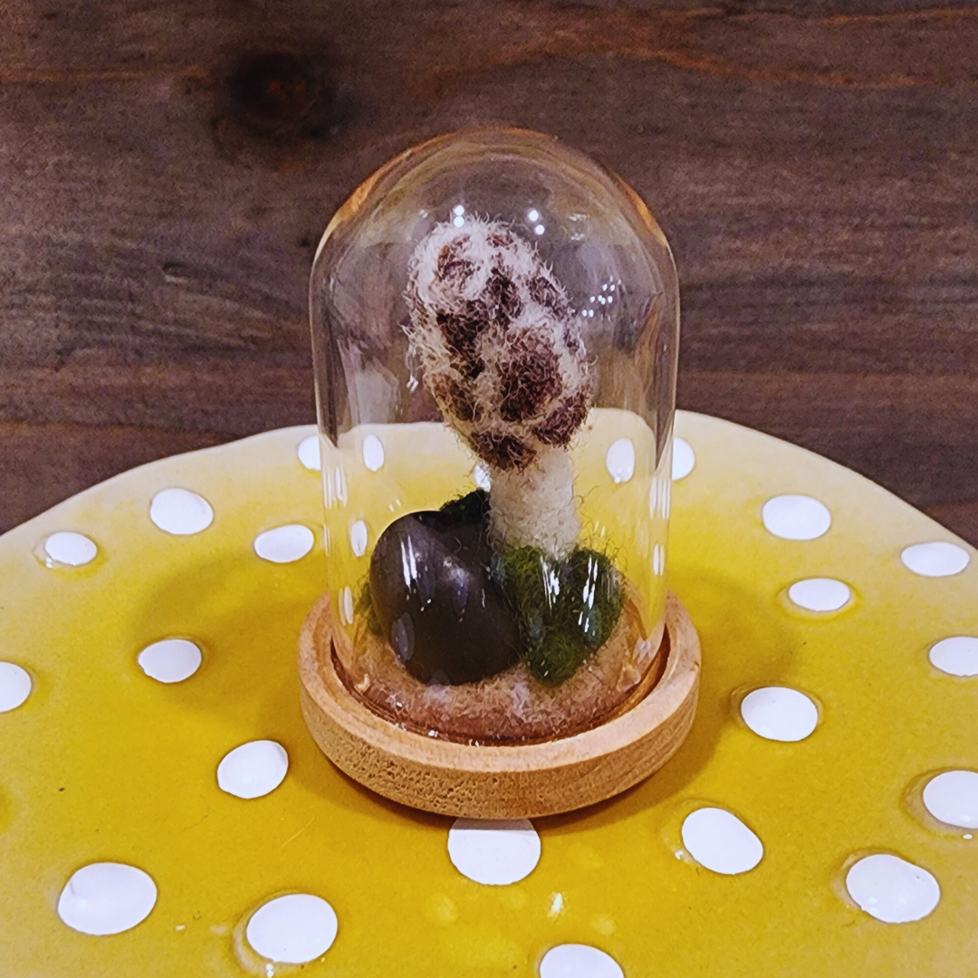 A handmade needle-felted Morel mushroom terrarium in a glass dome, featuring a dark stone and green moss on a light wood base.