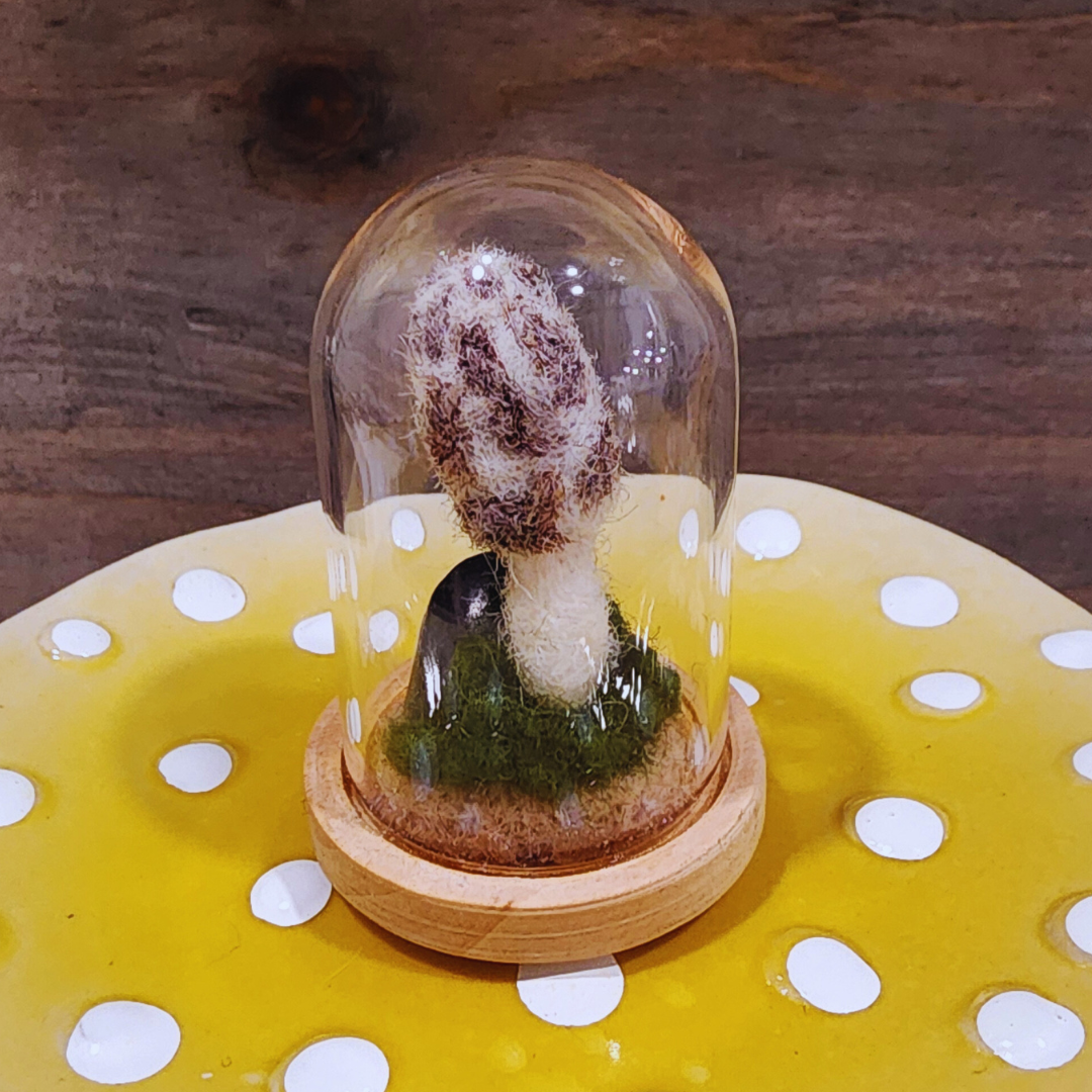 A handmade needle-felted Morel mushroom terrarium in a glass dome, sitting on a light wood base with green moss.