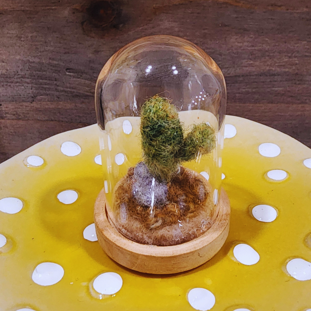 A handmade needle-felted Saguaro cactus terrarium in a glass dome, sitting on a light wood base.