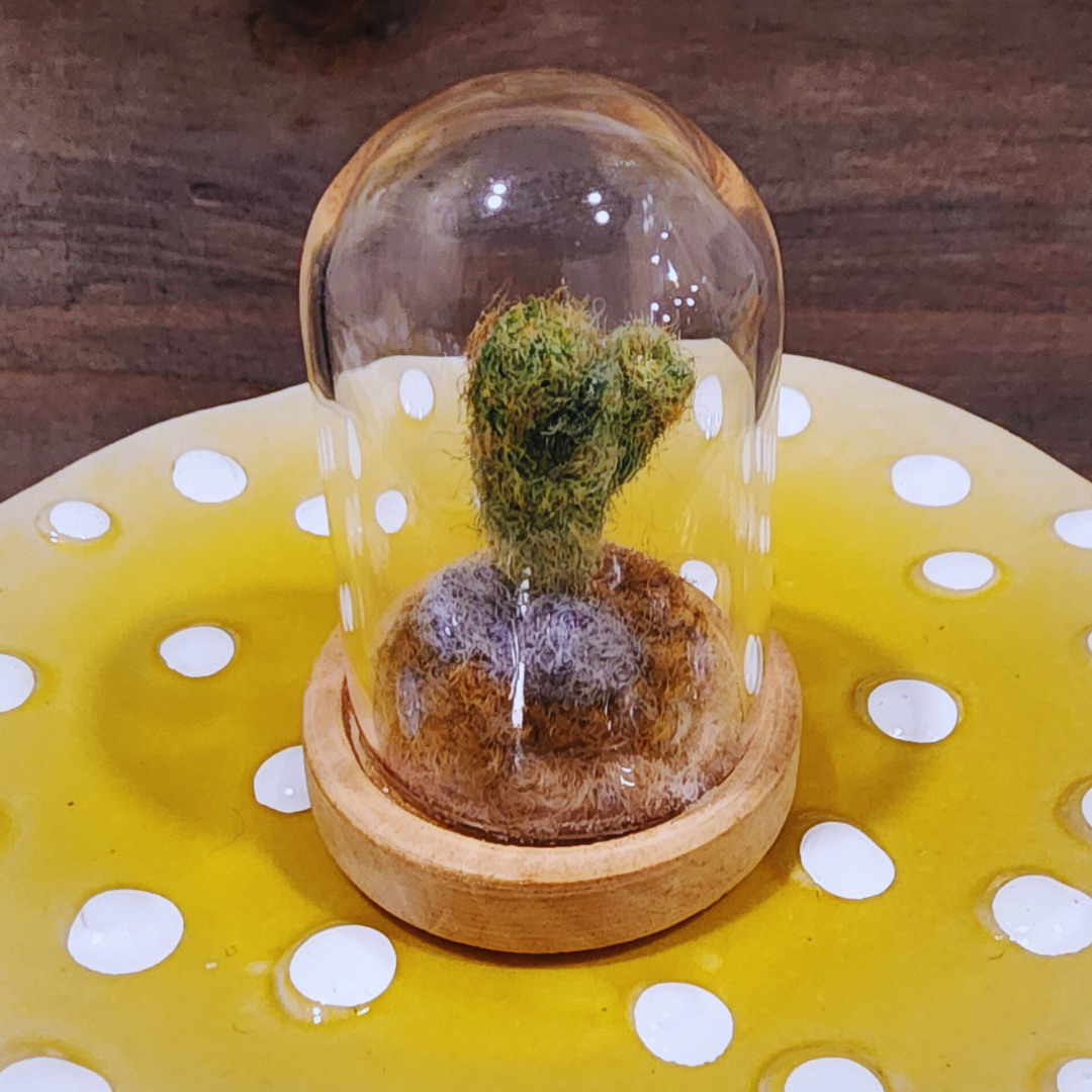 A handmade needle-felted Saguaro cactus terrarium in a glass dome, sitting on a light wood base.